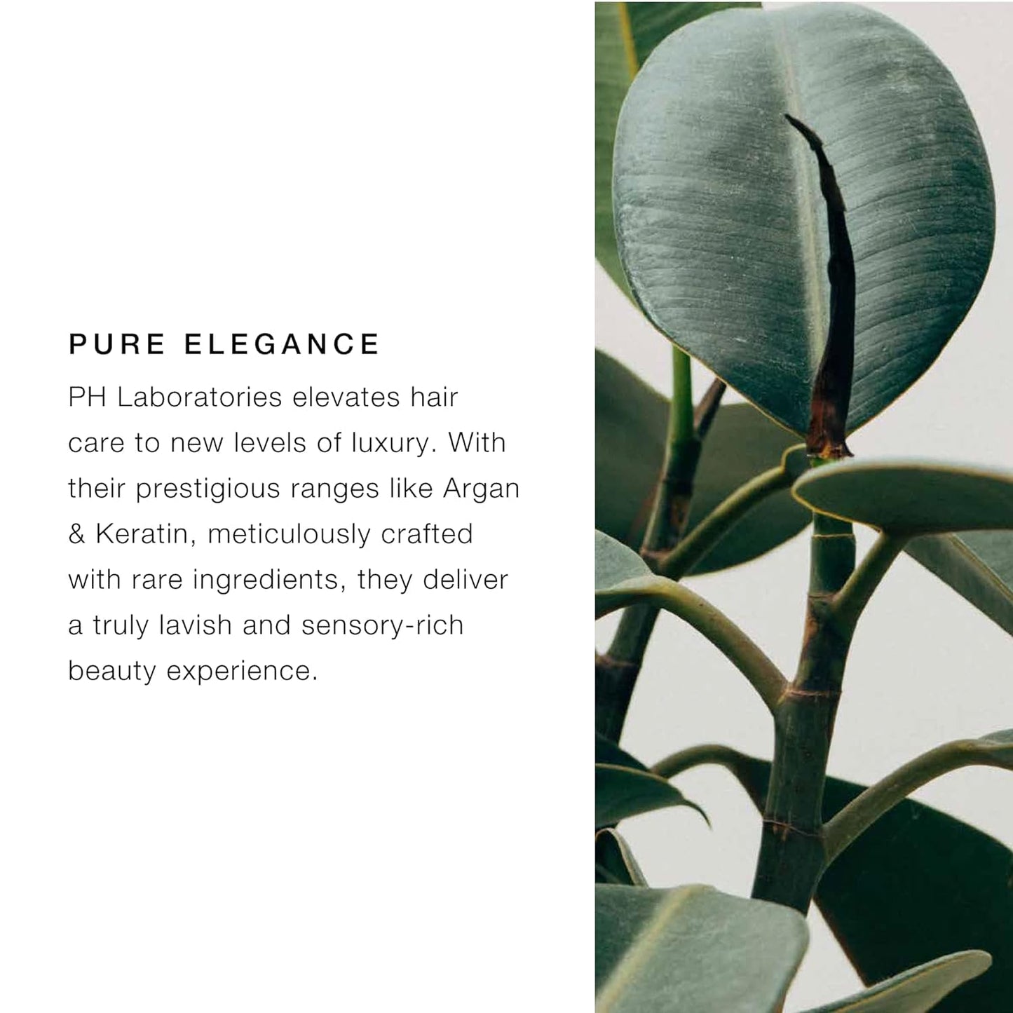 pH PURE HAIR Repair Moisturizing Shampoo 33.8 Oz - Hydrating Shampoo for Dry, Damaged & Color-Treated Hair - Revitalizing, Nourishing Formula to Restore Softness, Shine & Strength