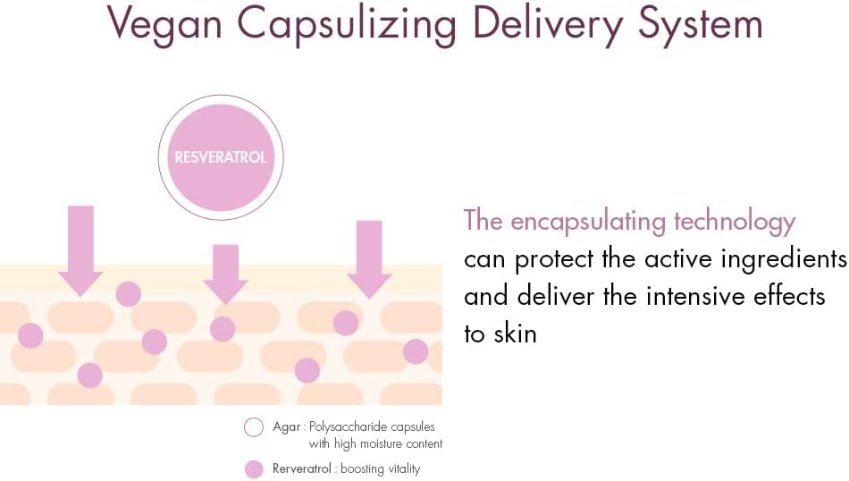 leegeehaam Dr.Ceuracle Vegan Active Berry First Essence - Antioxidant Hydrating Serum with Resveratrol Capsules for Rejuvenation (150ml / 5.07 fl. oz.)