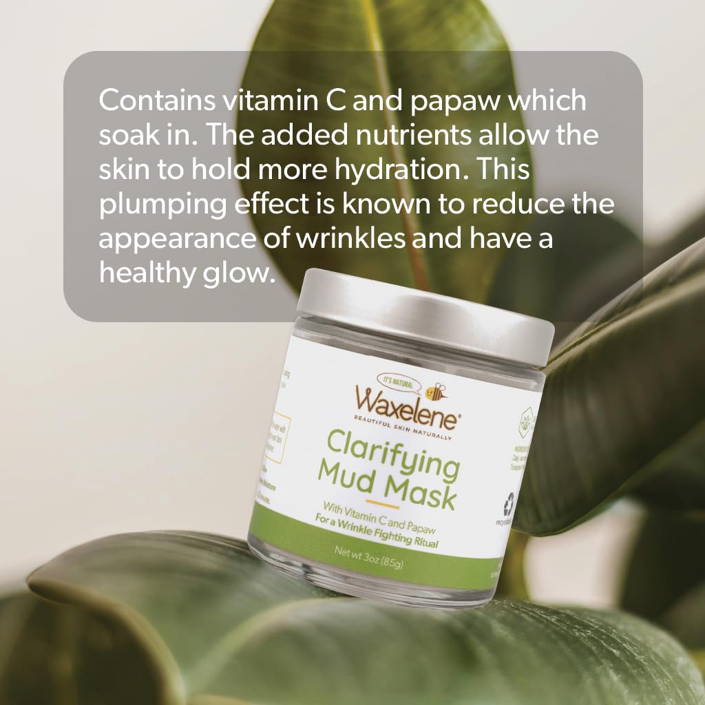Waxelene Clarifying Mud Mask Dry Blend - Wrinkle Fighting Ritual Cleans Pores Hydrates Nourishes Skin Vitamin C Papaw Bentonite French Green Clay