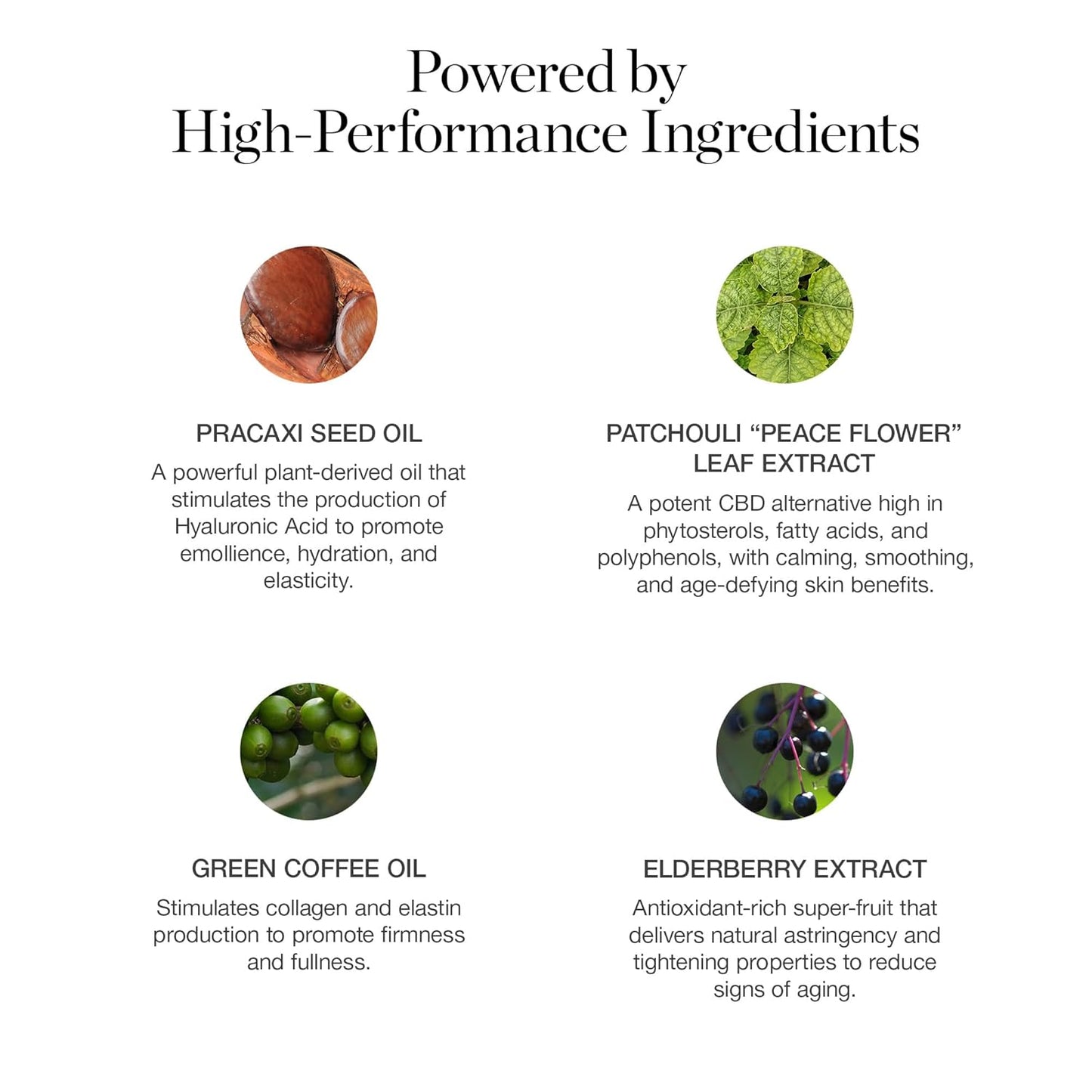 Ogee Sculpted Complexion Foundation Stick (Banyan 2.75W - Medium Light, Golden Undertones) Full Coverage Foundation Makeup - Instantly Balance & Even Complexion - 70% Organic Ingredients