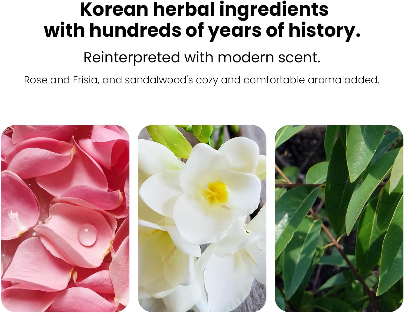 Bon Yoen Jin Skin Care 2pcs Special Set Toner 5.4 fl oz(160ml) x 2ea, Emulsion 5.4 fl oz(160ml) | Anti-Wrinkle, Moisturizing, Hydrating, Soothing, Korean Skin Care, Korean Skin Care Set