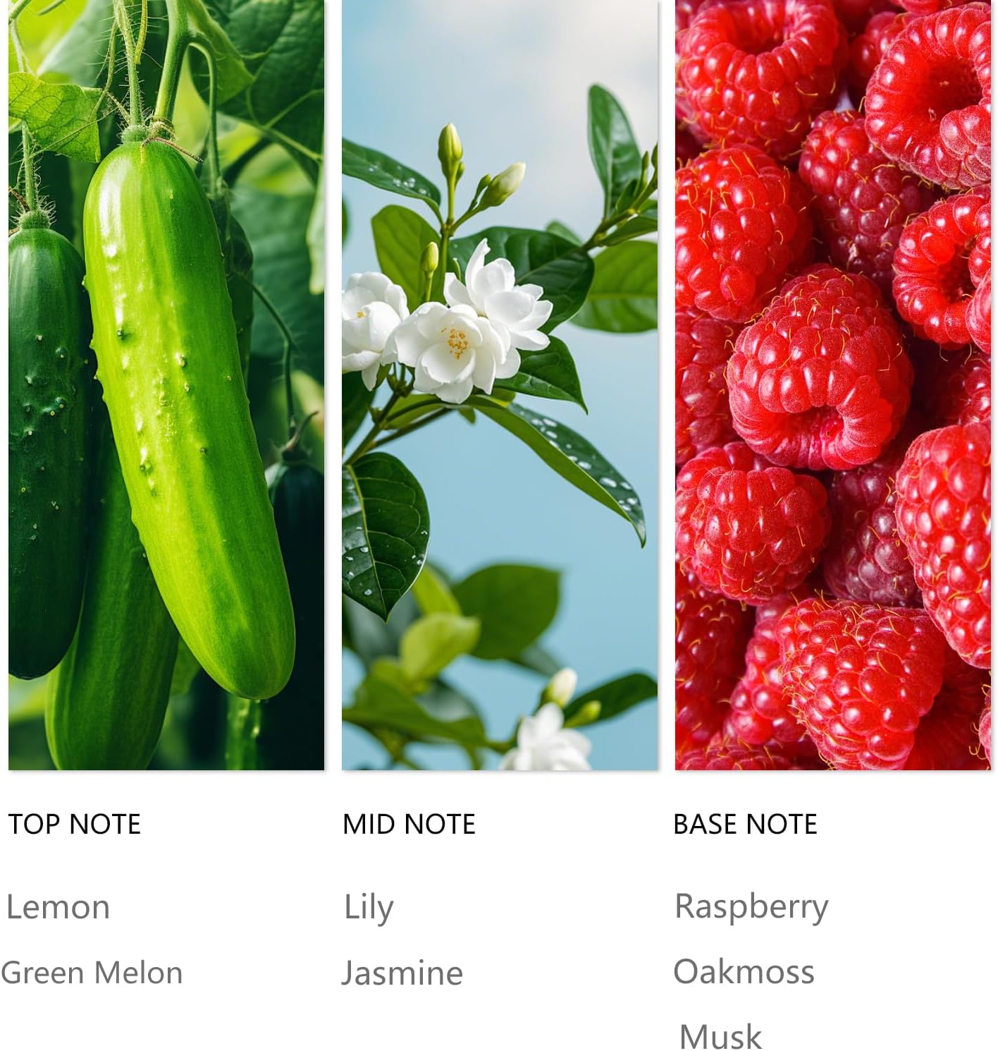 Hotel Waterless Diffuser Oil Mysterious, Essential Scent Oil Usage Cold Air Waterless Diffuser, Luxury Scents Oils Fragrance Bottle120 ML Home Natural Flavour