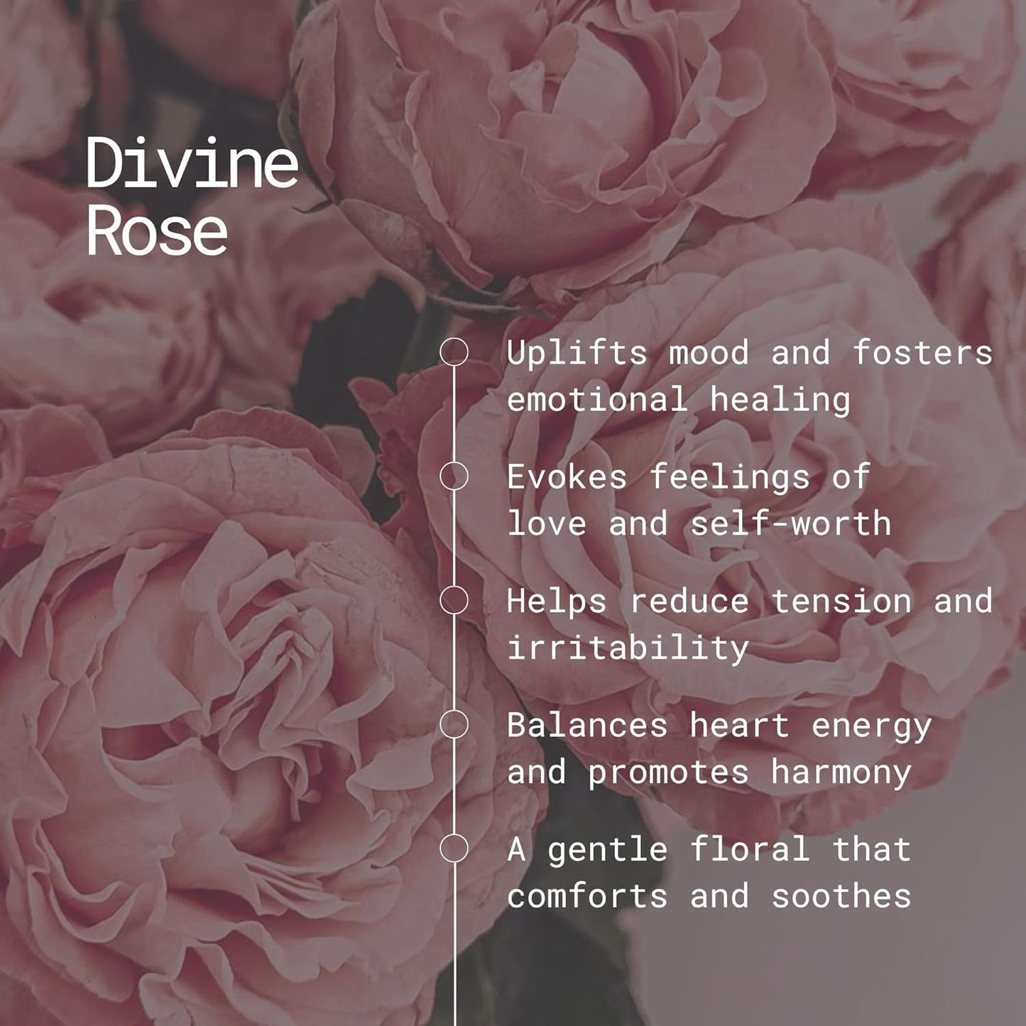 APPU'S Gandhadagudi Divine Rose Incense Sticks – 100g | Handmade, Toxin-Free, Long-Lasting Fragrance | Natural Resin Aroma for Meditation, Yoga & Home Use