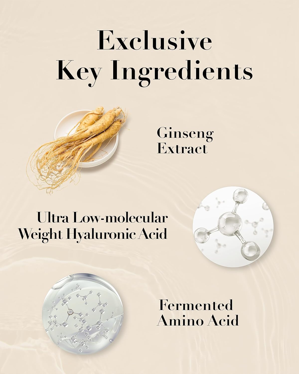 SOORYEHAN Micro Ginseng Essential Skincare Special Set (540 ml/18.26 fl oz) - Wrinkles/Fine Lines, Skin Elasticity & Intensive Hydration. Amino Acids & Ginsenocide