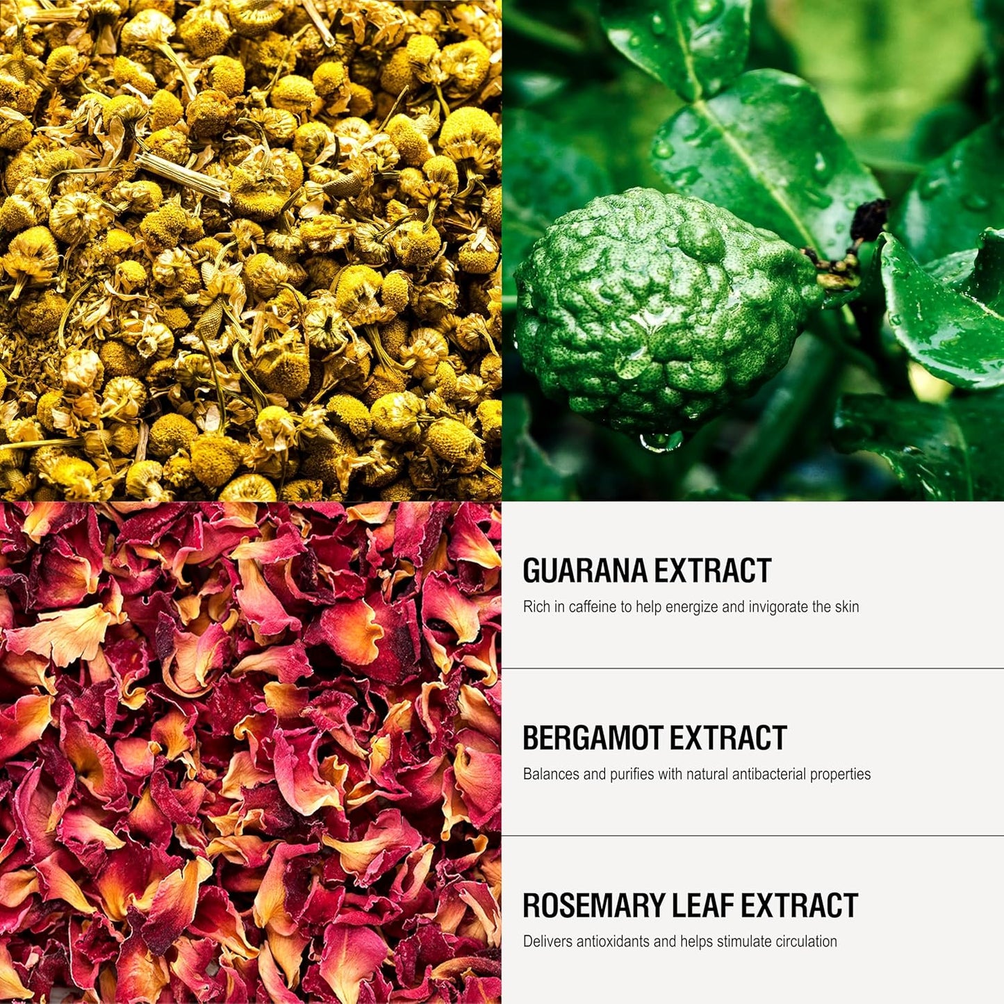 Grown Alchemist Energize Body Cleanser Set (500 ml) + Refill (1L)